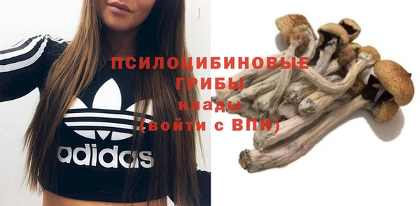 spice Балабаново