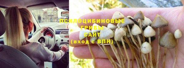 spice Балабаново