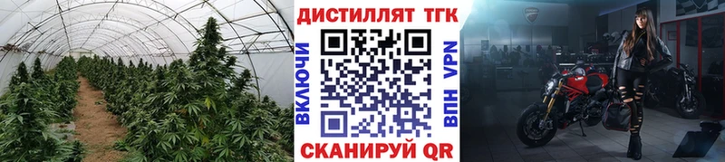 ТГК вейп с тгк  blacksprut ссылки  Козельск  даркнет сайт 