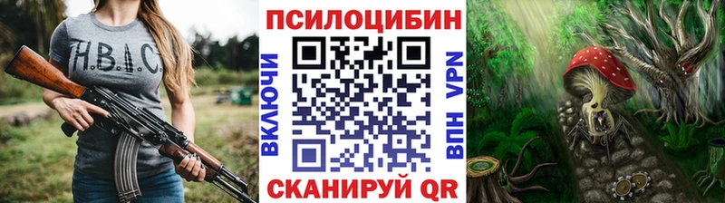 где можно купить   Козельск  Галлюциногенные грибы ЛСД 