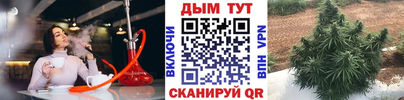 Канабис сатива  магазин продажи наркотиков  Козельск 